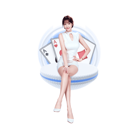 观赛指南编写中